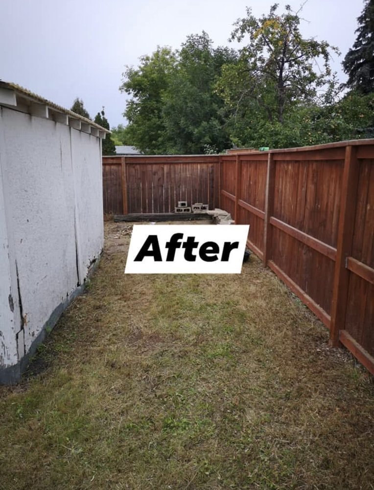 Same yard cleared and tidy after AXE Tree Service finished the job